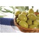 Olives vertes en sous vide 250g (prix TTC)